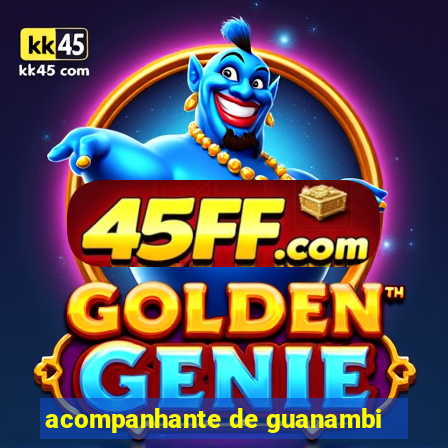 acompanhante de guanambi